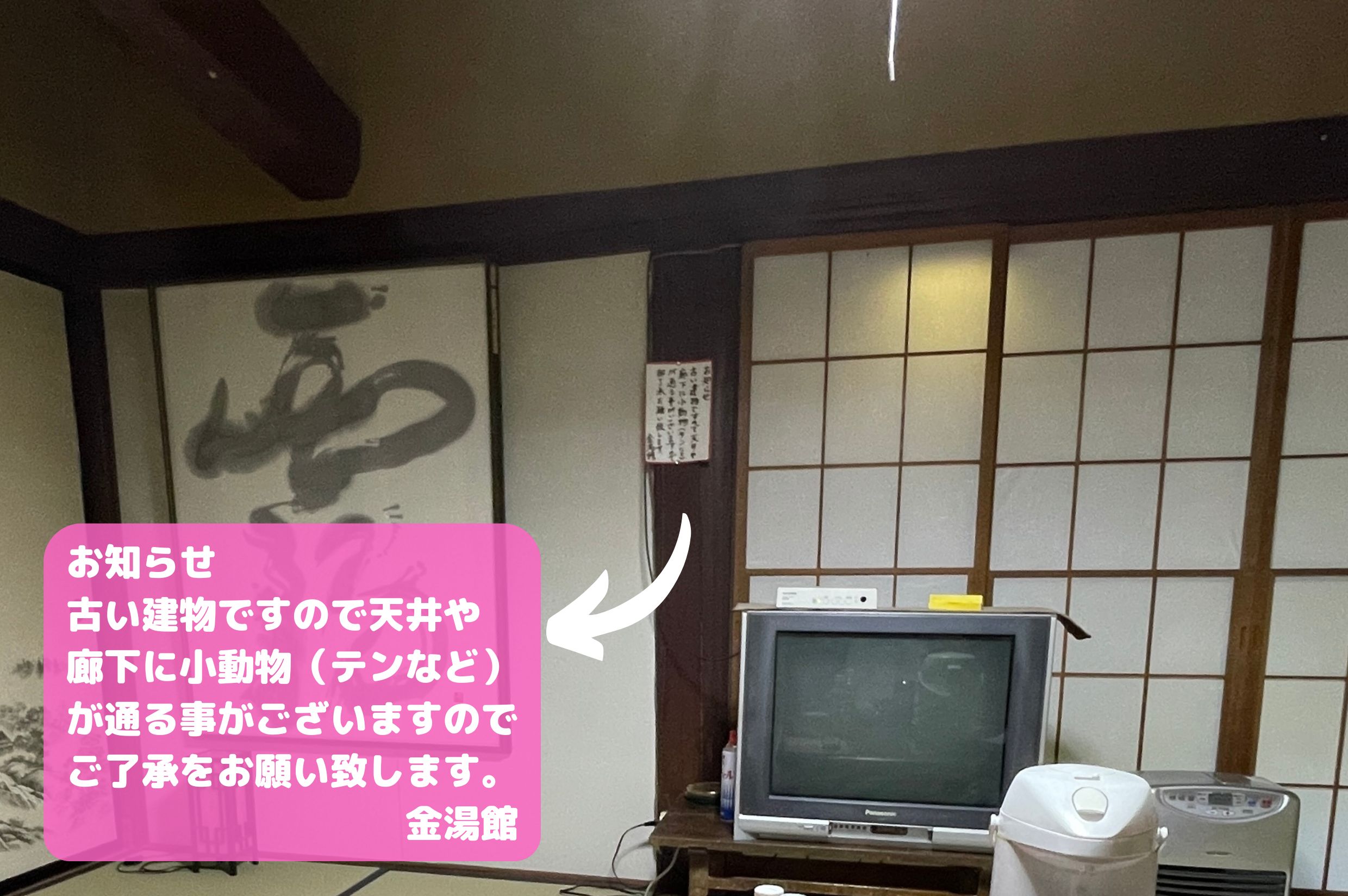 野生と共存の金湯館